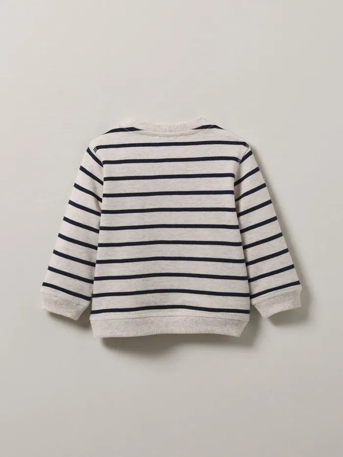 Baby Cyrillus Baby Boy Stripe Organic Cotton Sweater Rayure Marineecru