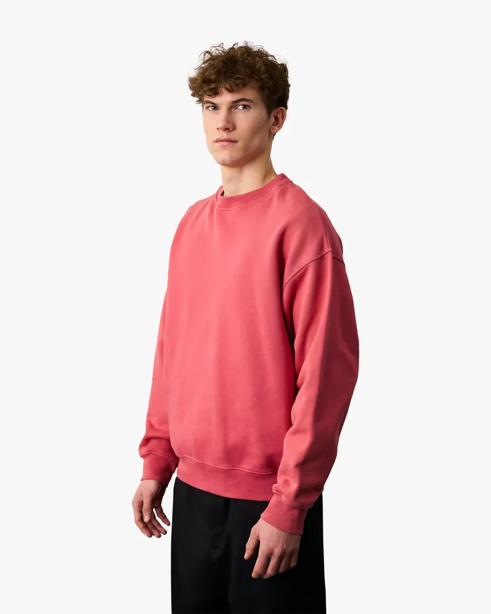Crewneck Sweatshirts Colorfulstandard Men Organic Oversized Crew 8211 Raspberry Pink