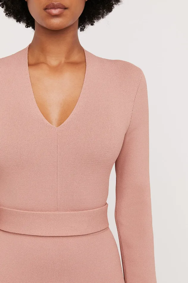 Dresses Scanlan Theodore Women CREPE KNIT LONG SLEEVE V NECK DRESS POWDER