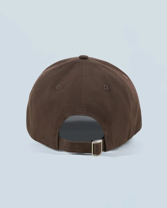 From Future Caps Future Curved Visor Cap Chocolate