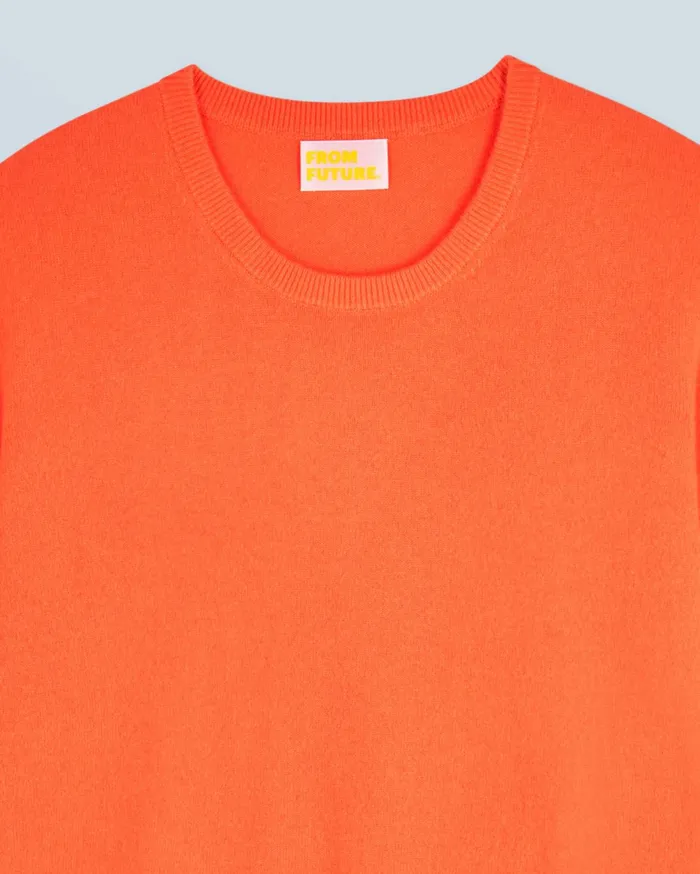 From Future Cashmere Sweaters Men Basic Crew Neck Sweater Utopic Orange
