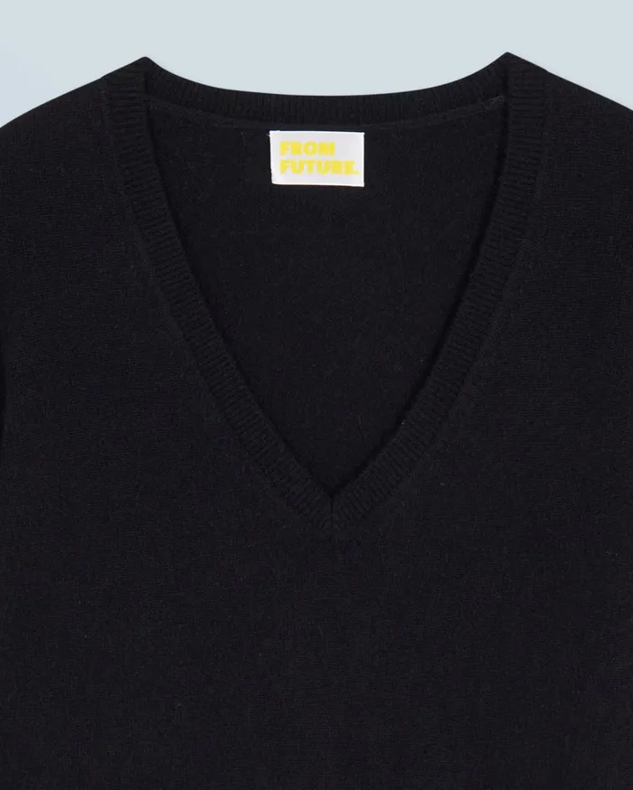 From Future Cashmere Sweaters Women Basic VNeck Sweater Black