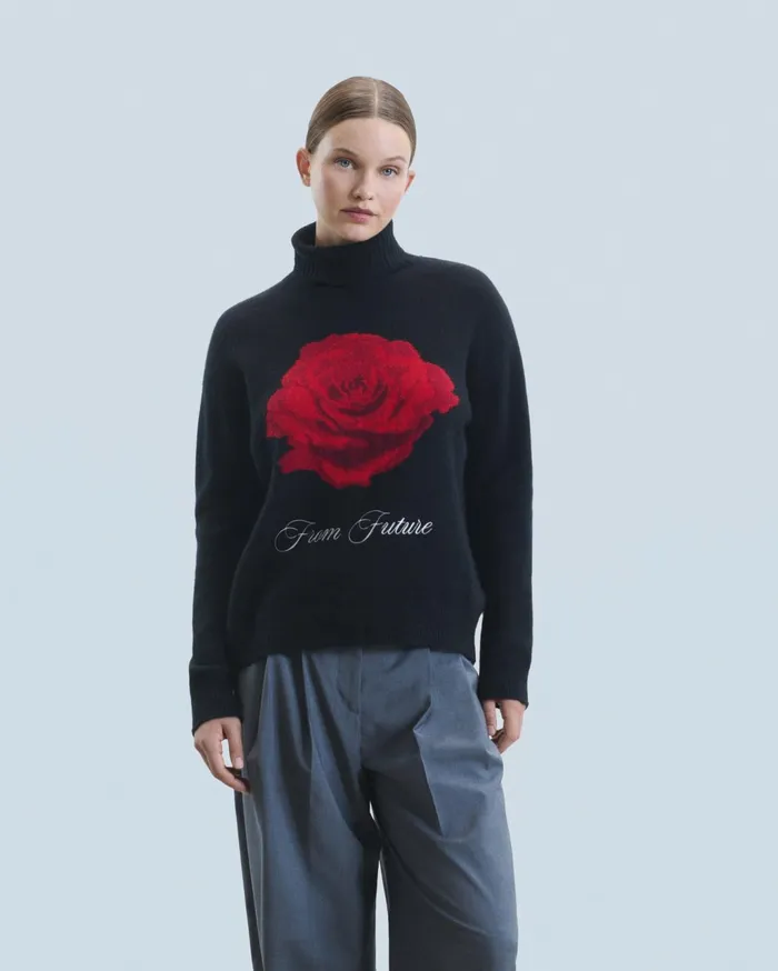 From Future Cashmere Sweaters Women Turtleneck Sweater Black