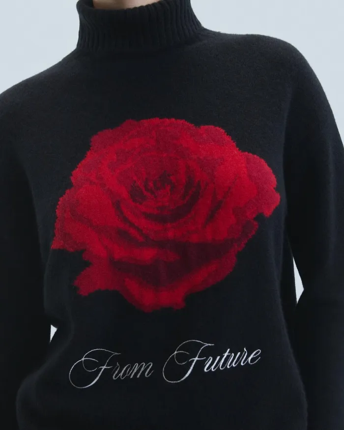 From Future Cashmere Sweaters Women Turtleneck Sweater Black