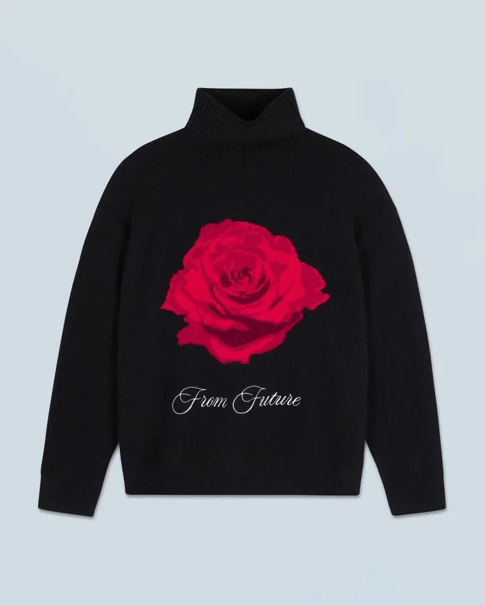 From Future Cashmere Sweaters Women Turtleneck Sweater Black