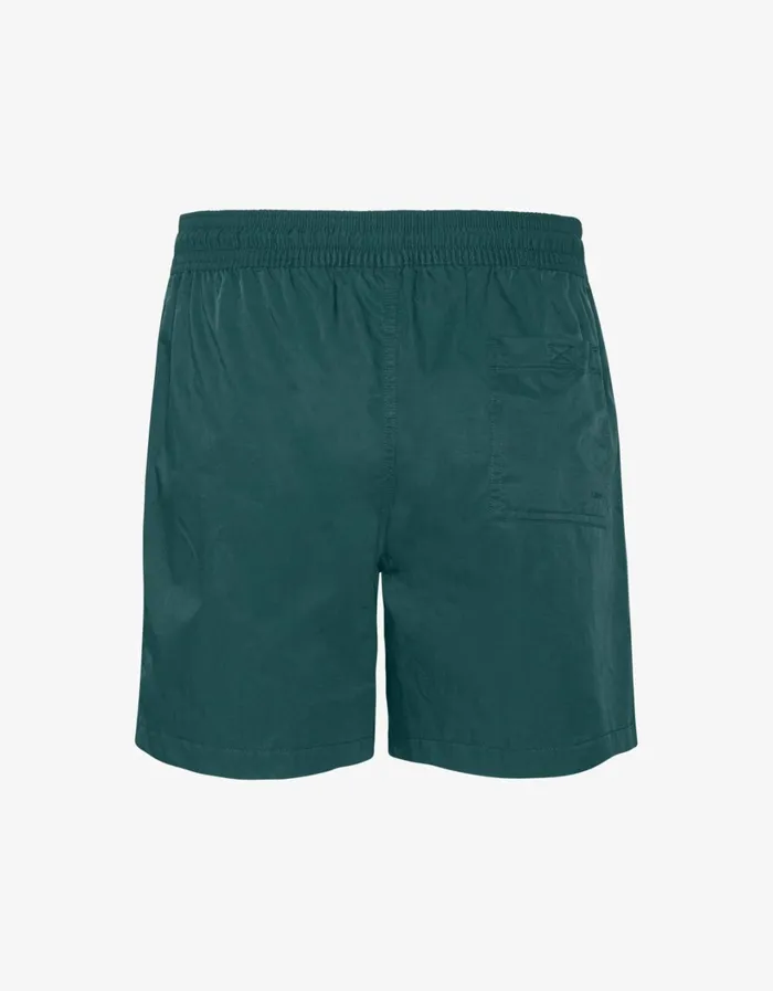 Men Classic Swim Shorts Ocean Green Colorful Standard Shorts