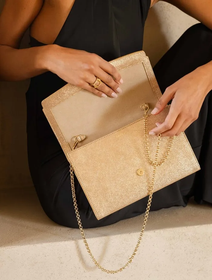 Opra Iridescent Champagne Women Bobbies Bags