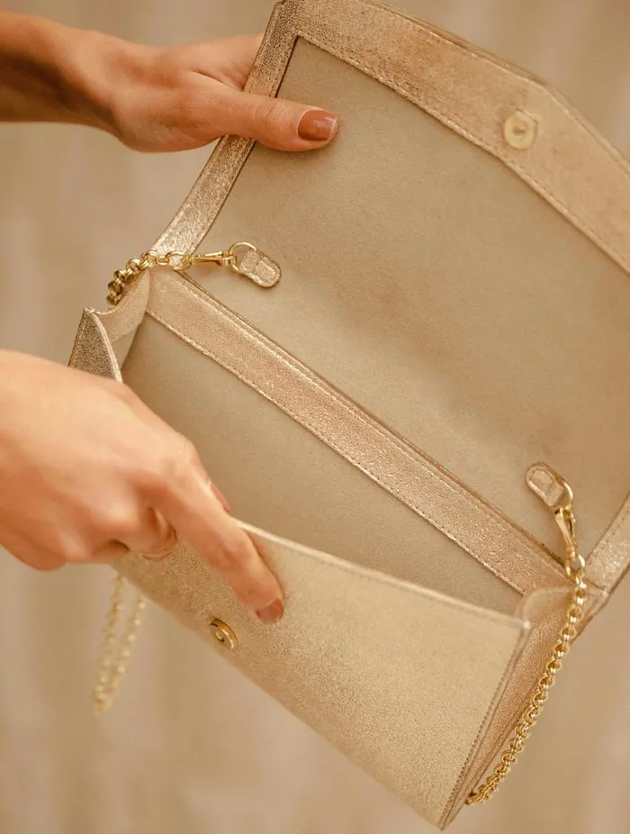 Opra Iridescent Champagne Women Bobbies Bags