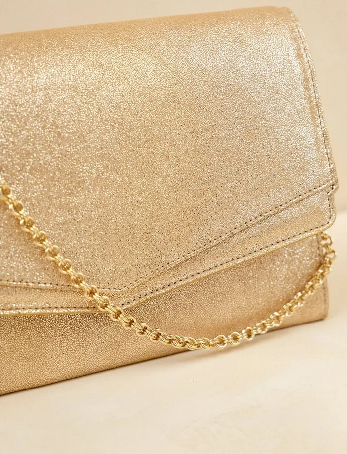 Opra Iridescent Champagne Women Bobbies Bags