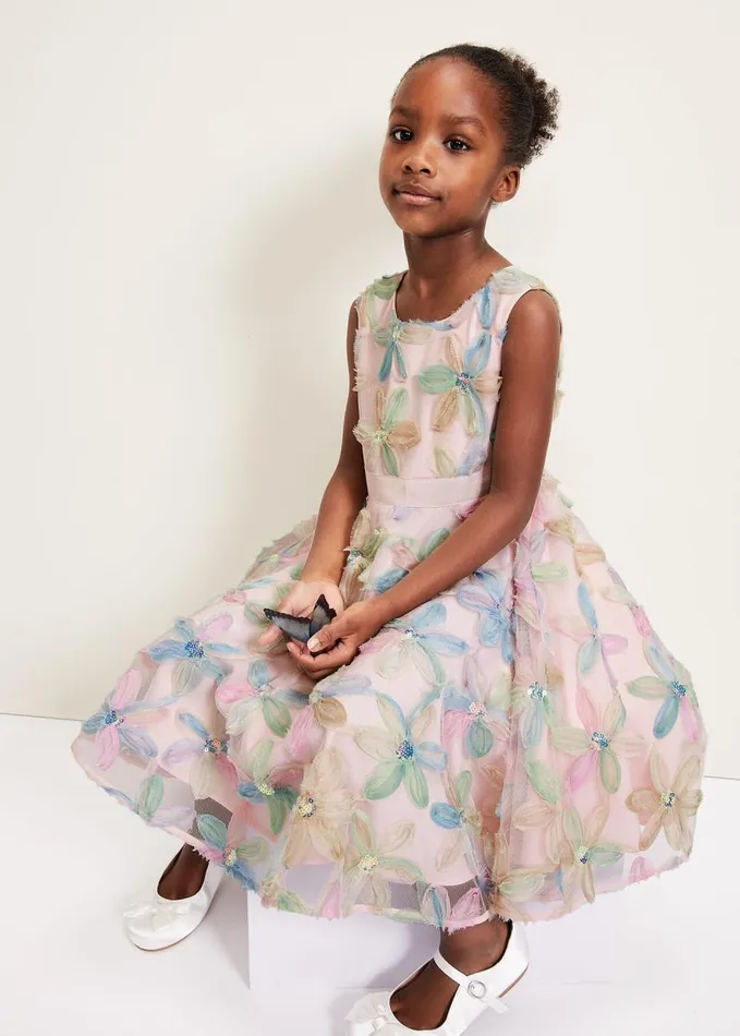 Phase Eight Flora Jacquard Dress Multicoloured Women Dresses
