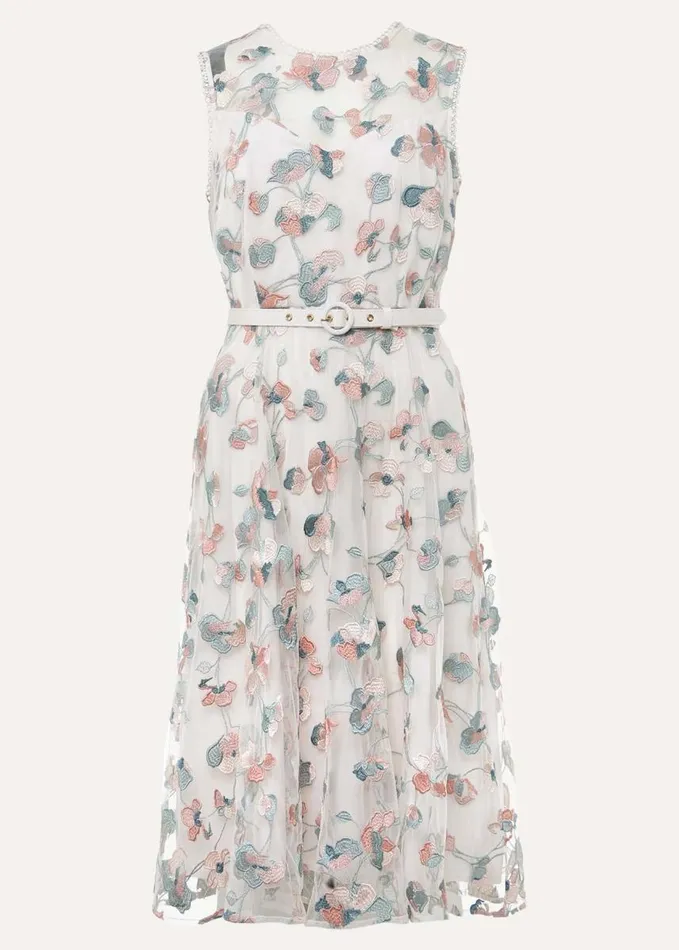 Phase Eight Leighton Floral Embroidered Midi Dress Pale Petal Multi Women Dresses