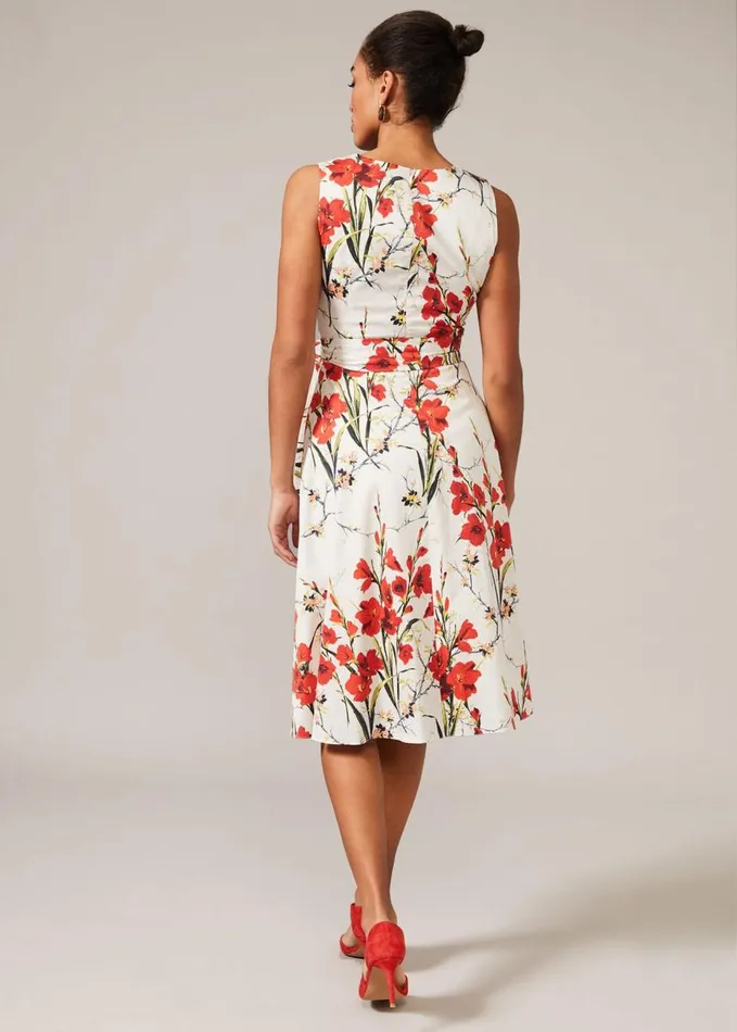 Phase Eight Sofia Floral Cotton Dress Ivoryfire Women Dresses