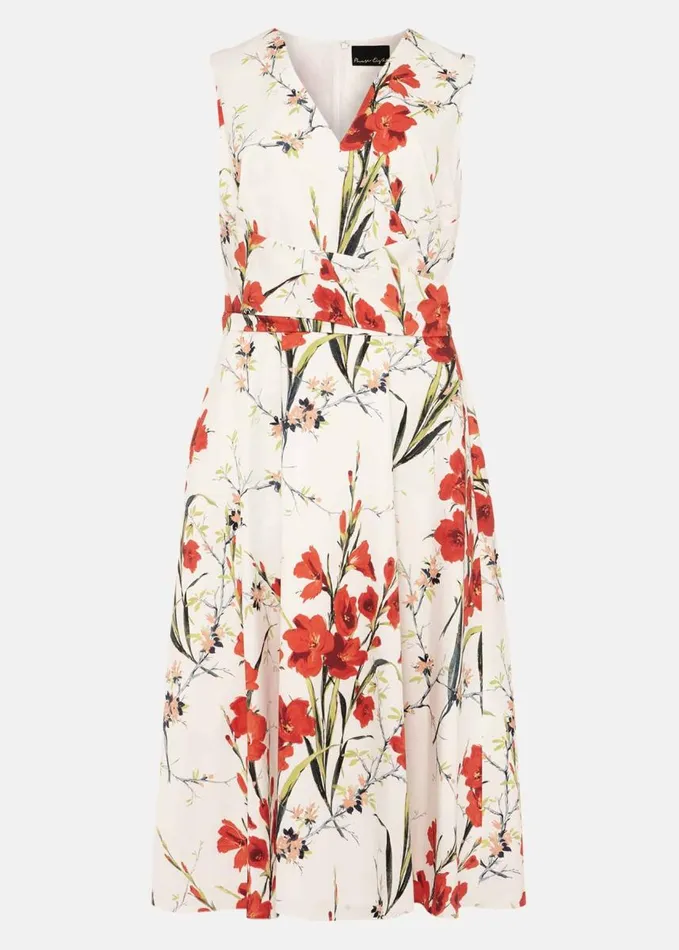 Phase Eight Sofia Floral Cotton Dress Ivoryfire Women Dresses