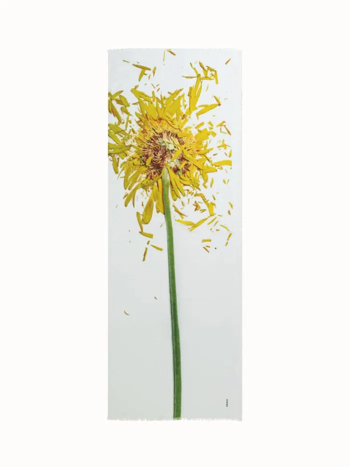 Scarf Cashmere Silk Scattered Calendula Print Calendula Women Akris Collector Scarves