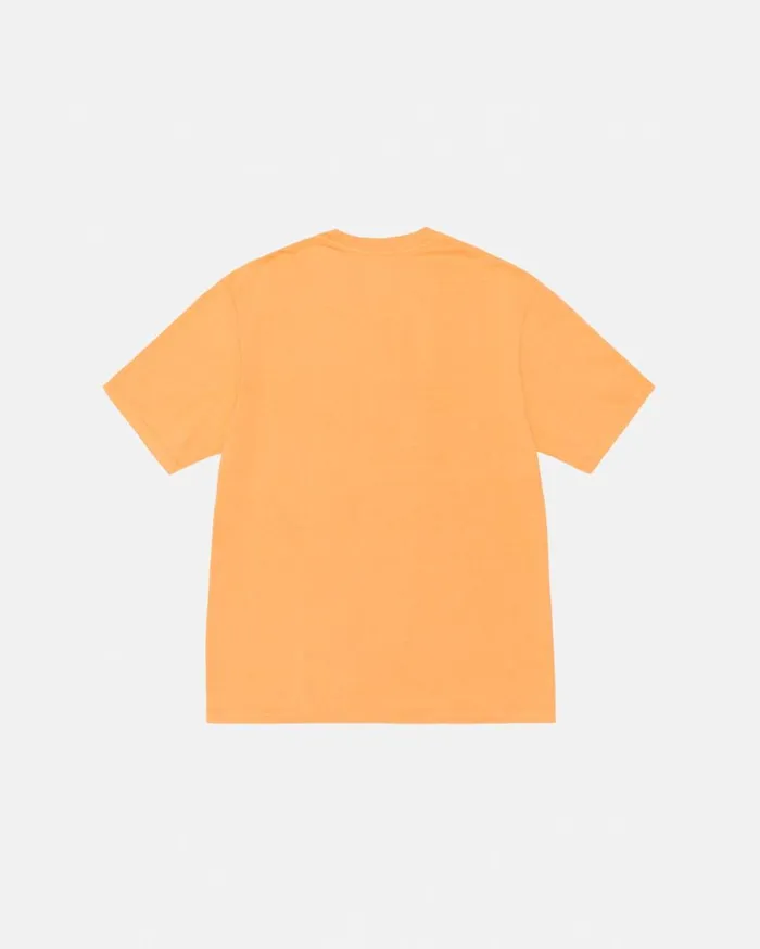 Stussy Tees RASTA LION TEE PIGMENT DYED Orange 8211 MenWomen