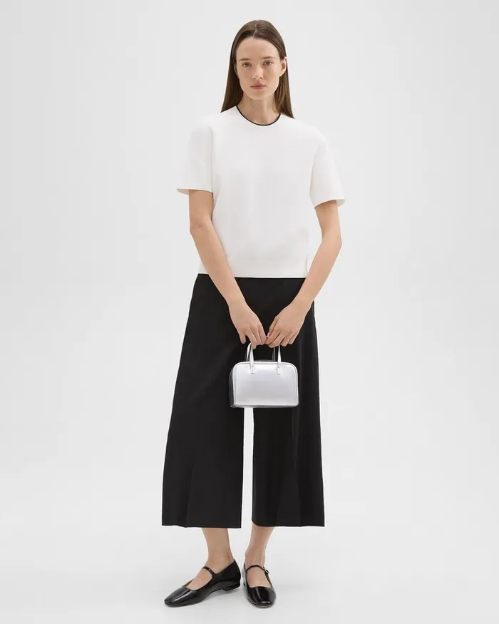 Women Bags Theory Mini Pillow Bag In Metallic Leather Silver