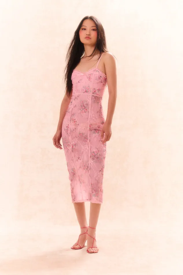 Women Dresses LoveShackFancy Tresor Lace Bustier Midi Dress Pink Dusk