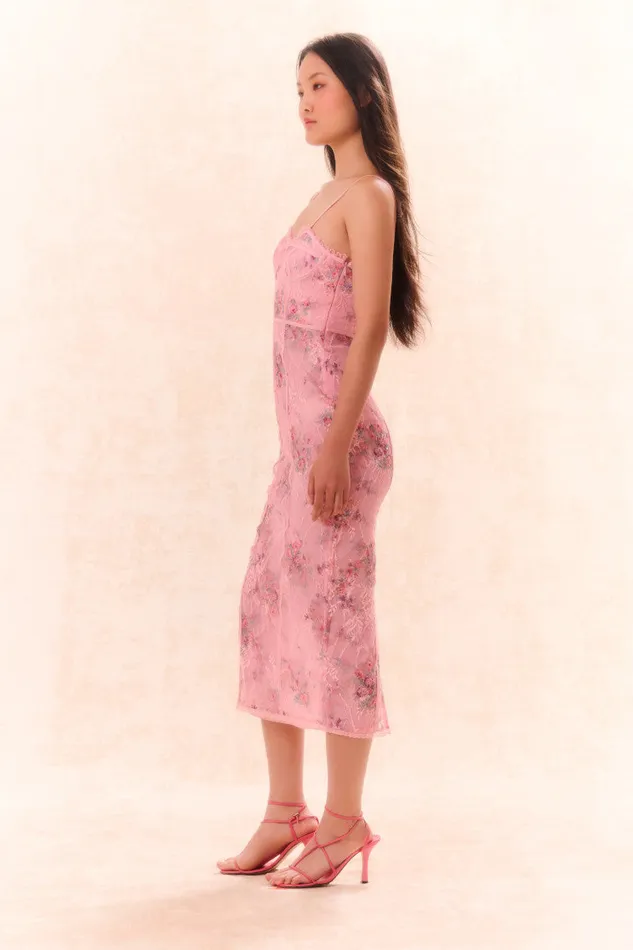 Women Dresses LoveShackFancy Tresor Lace Bustier Midi Dress Pink Dusk