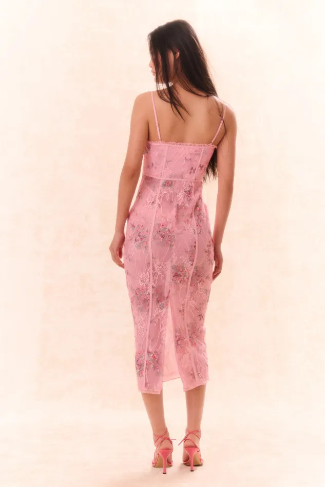 Women Dresses LoveShackFancy Tresor Lace Bustier Midi Dress Pink Dusk