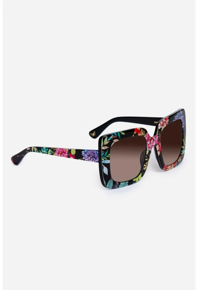Women Johnny Was Eye Wear Sutton Sunglasses Printed Dreamer Noir