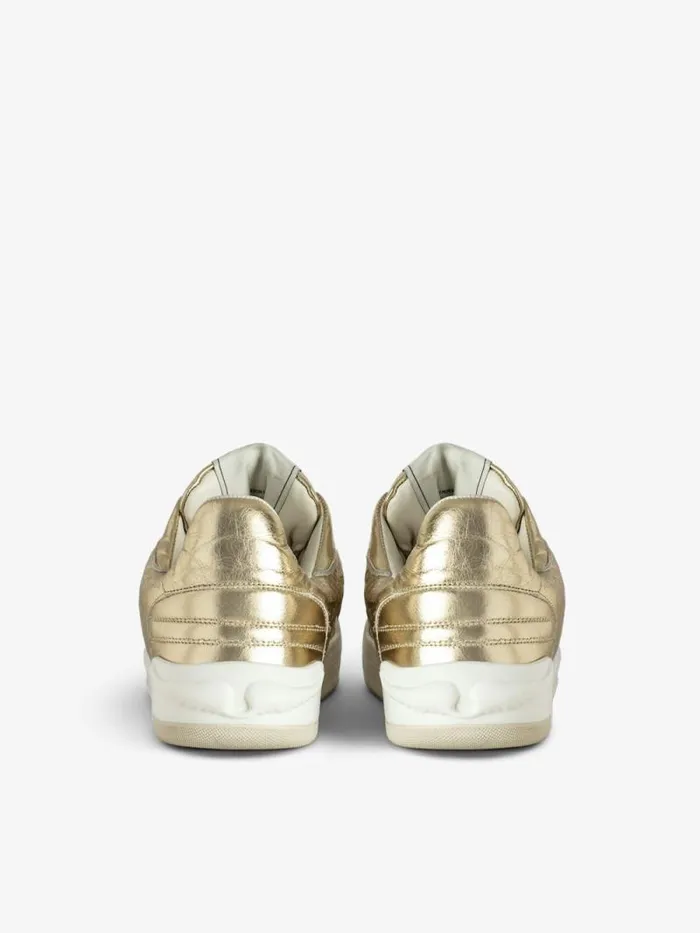 WomenMen Zadig and Voltaire Sneakers LowTop Wings Sneakers Gold WomenMen Zadig and Voltaire Sneakers LowTop Wings Sneakers Gold